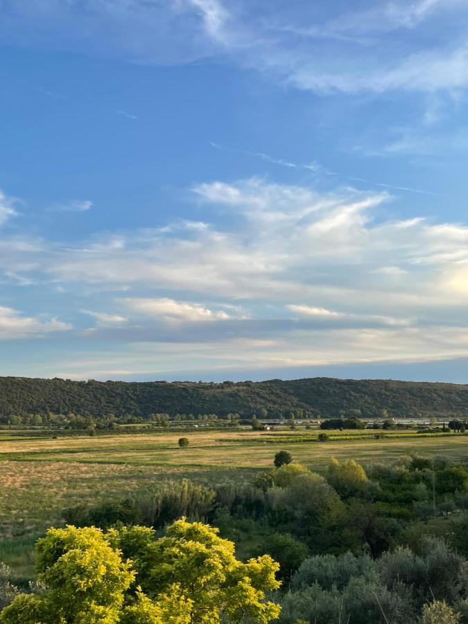 Salinea Apartments Secovlje Bagian luar foto